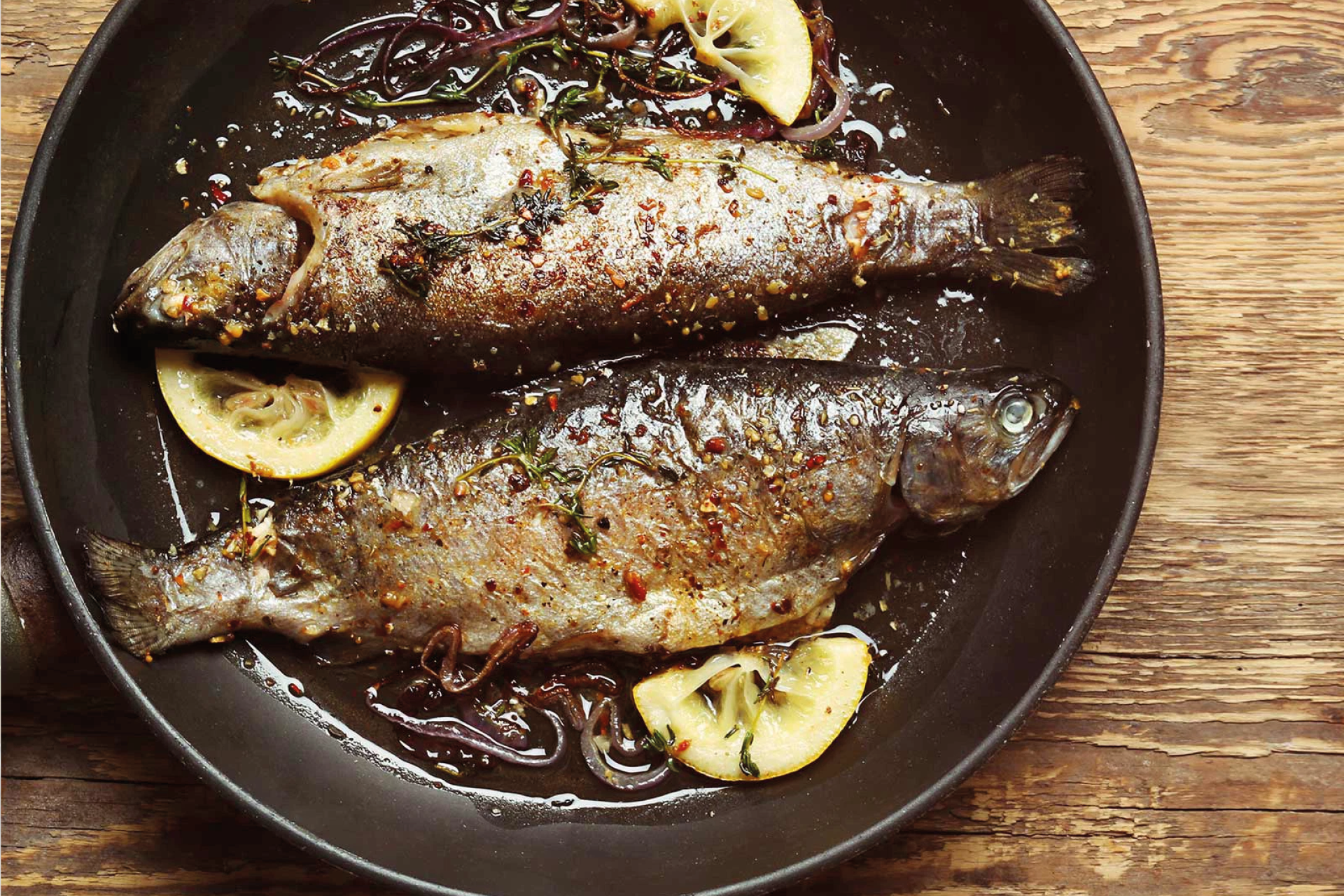 contacto  Fischpfanne